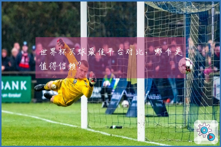 世界杯买球最佳平台对比，哪个更值得信赖？