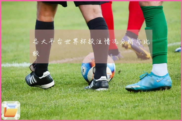 各大平台世界杯投注情况分析与比较