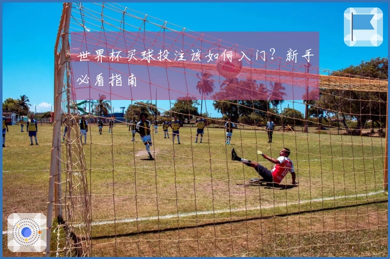 世界杯买球投注该如何入门？新手必看指南