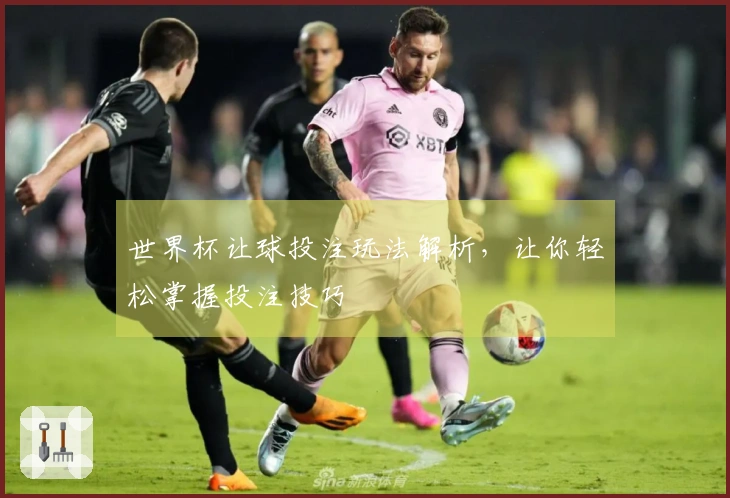 世界杯让球投注玩法解析，让你轻松掌握投注技巧