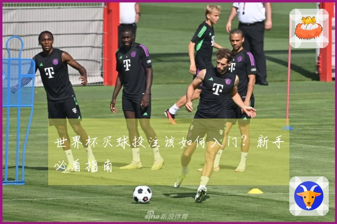 世界杯买球投注该如何入门？新手必看指南