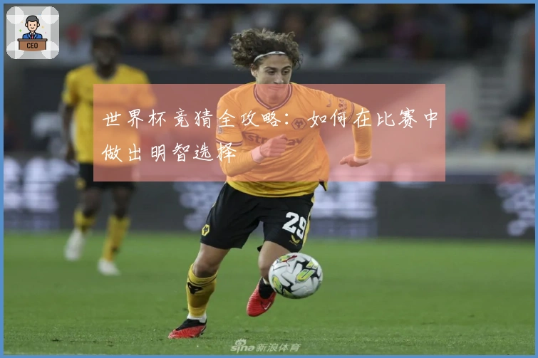 世界杯竞猜全攻略：如何在比赛中做出明智选择