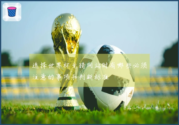 选择世界杯竞猜网站时有哪些必须注意的事项和判断标准